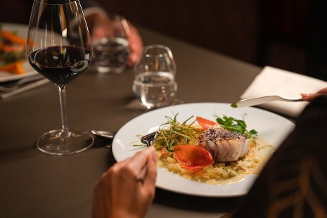 Fridex Sheraton Dinner Salzburg